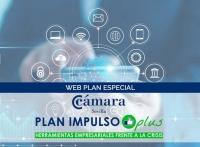 Apoyo provincial al Plan Impulso Plus de la C&aacute;mara de Comercio