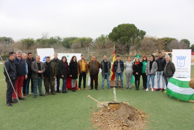 Comienza la reforma del Polideportivo Alcalde Fernando Su&aacute;rez Villar de Coria del R&iacute;o