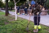 En marcha la regeneraci&oacute;n del Parque de la Huerta de Mairena del Aljarafe