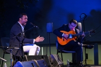 Tomares vive su Gran Noche Flamenca con la 48 edici&oacute;n de su festival