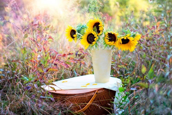Flores y plantas de oto&ntilde;o m&aacute;s bonitas