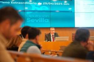 El Pleno aprueba la relaci&oacute;n de personas y entidades que recibir&aacute;n la Medalla de Oro de la Provincia en 2025