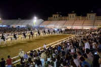 El s&aacute;bado 8 de octubre llega a La Par&aacute; de Gines el espect&aacute;culo &lsquo;C&oacute;mo bailan los caballos andaluces&rsquo;