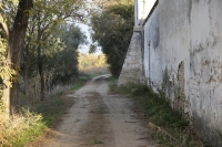 El camino de Mairena del Aljarafe a Gelves por el Porzuna ser&aacute; rehabilitado como sendero