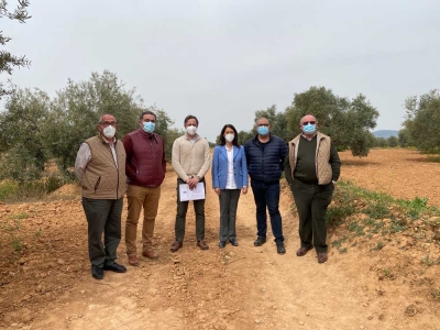 La Junta aprueba el Plan Itinere con 8 millones de euros para arreglar los caminos rurales de Sevilla